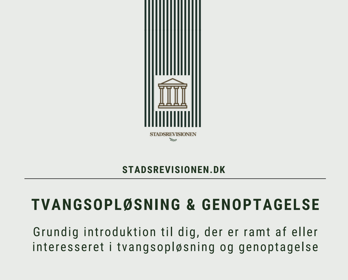 Forside: E-bog om tvangsopløsning og genoptagelse fra Stadsrevisionen
